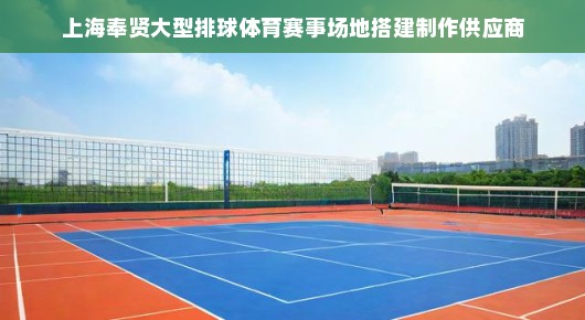 上海市奉贤排球：上海奉贤大型排球体育赛事场地搭建制作的专业供应商