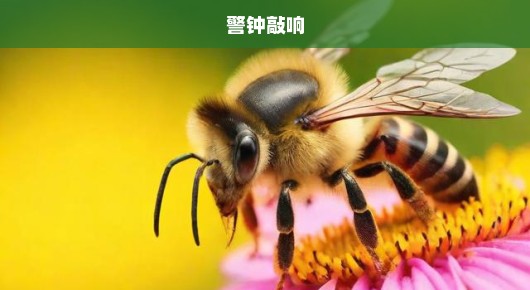 女童遭蜜蜂蜇伤致死事件敲响警钟，科普宣传刻不容缓！